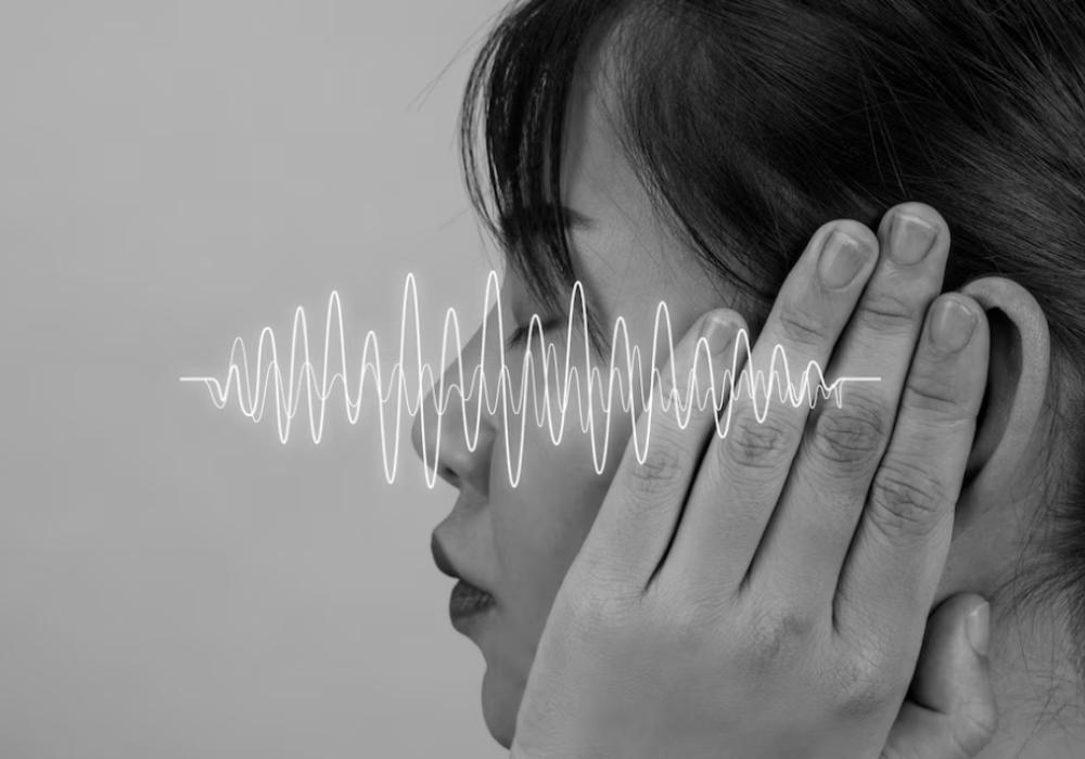 Kulak Çınlaması Bursa